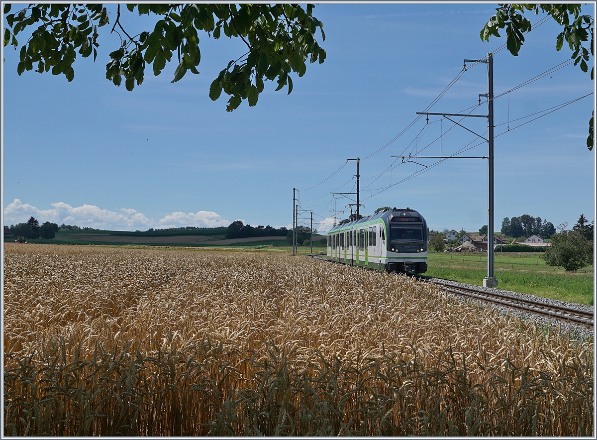 Es geht auch ohne Fotowolke: Von einem schattigen Plätzchen im Schutze eines Baumes konnte ich im  Gros-de-Vaud , der Kornkammer des Kantons, den LEB Be 4/4 64, unterwegs als Regionalzug 131 von Lausanne Flon nach Bercher kurz nach Fey fotografieren.

25. Juli 2020