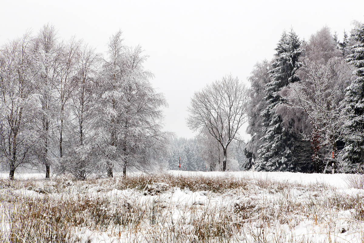 
Es ist wieder Winter auf den Höhen des Westerwaldes, hier am 26.01.2015 bei Nisterberg.
In den tieferen Lagen ist es Regen aber hier auf ca. 527 m.ü.M. sieht es doch anders aus.
