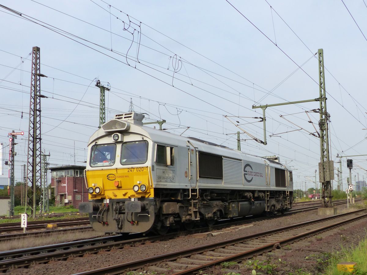 Euro Cargo Rail Diesellok 247 020-1 Gterbahnhof Oberhausen West 22-09-2016.


Euro Cargo Rail dieselloc 247 020-1 goederenstation Oberhausen West 22-09-2016.