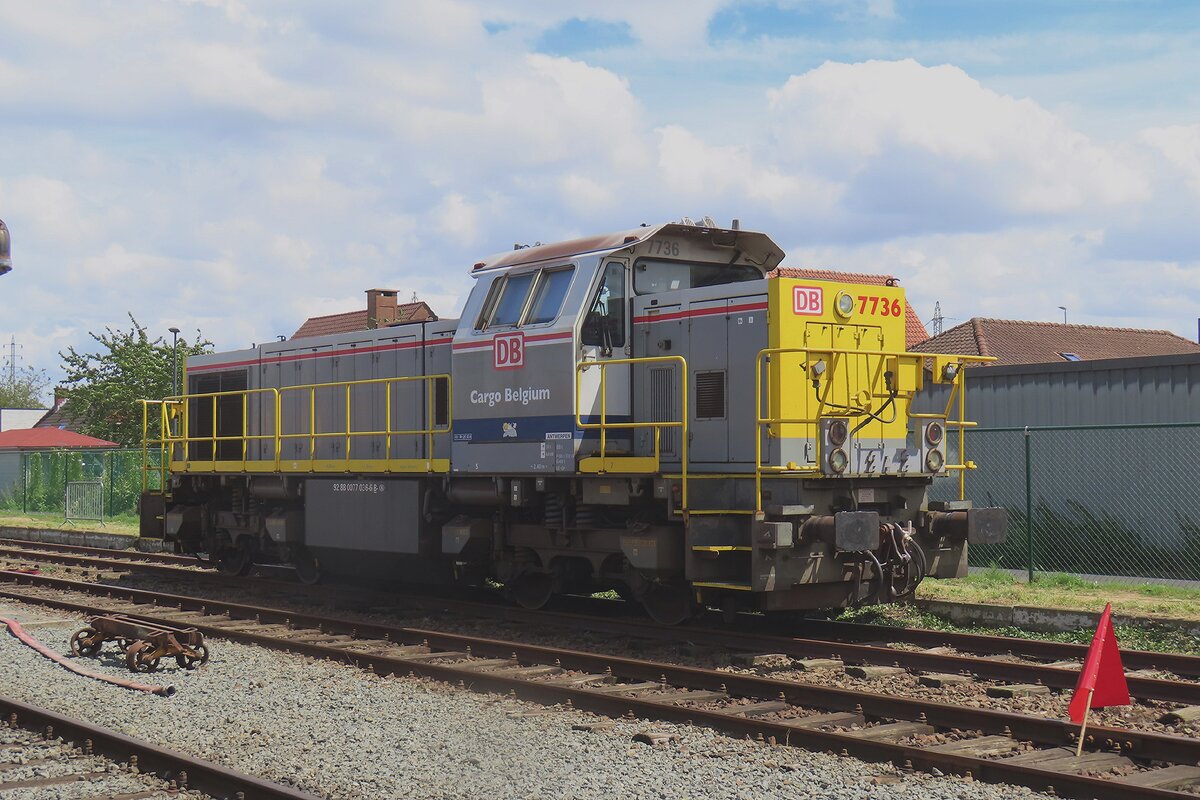 Ex-SNCB, heute DB Cargo Belgium 7736 steht am 6 Juli 2024 während das  Scheldeland in Stoom  Wochenende der SDP in Baasrode Noord.