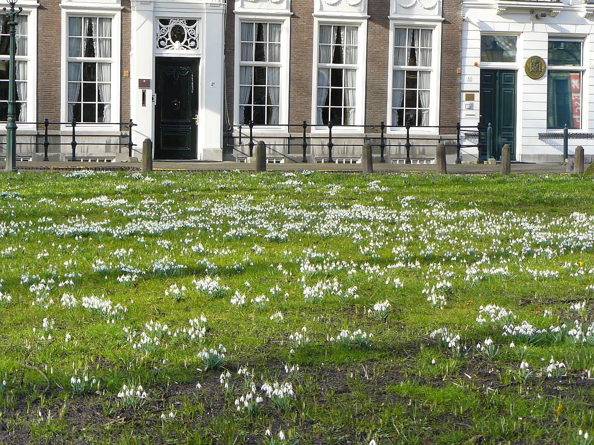 Frhling. Lange Voorhout, Den Haag 22-02-2015.


Sneeuwklokjes op het Lange Voorhout, Den Haag 22-02-2015.