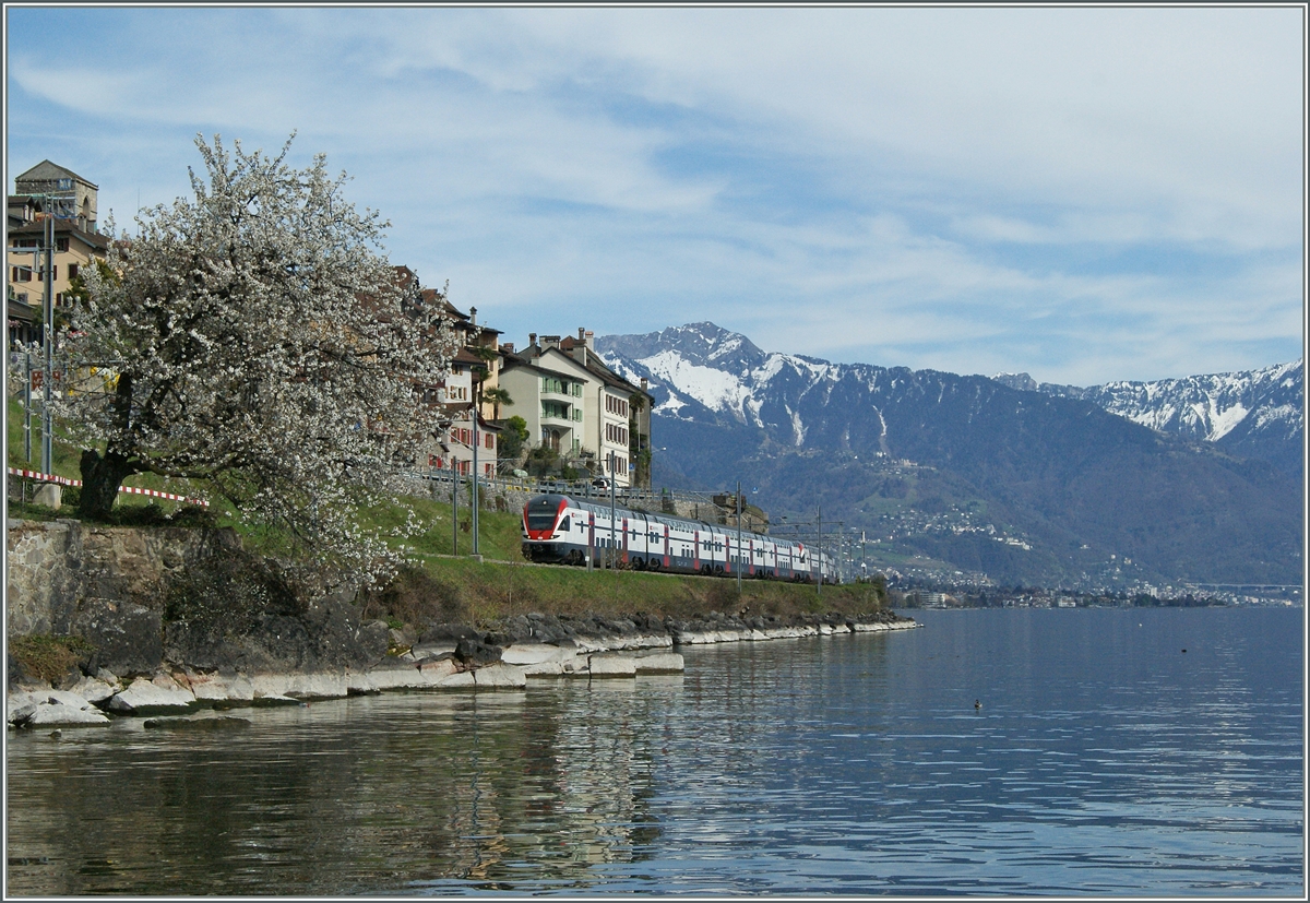 Frühling im Lavaux: Ein RABe 511 als RE von Vevey nach Genève bei St-Saphorin.
15. April 2015