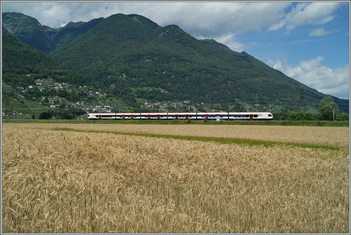 Gebirgig ist das Tessin, mit Ausnahme der Maggadio Ebene, welche hier ein TILO Firt bei Riazzino durchquert.
21. Juni 2015