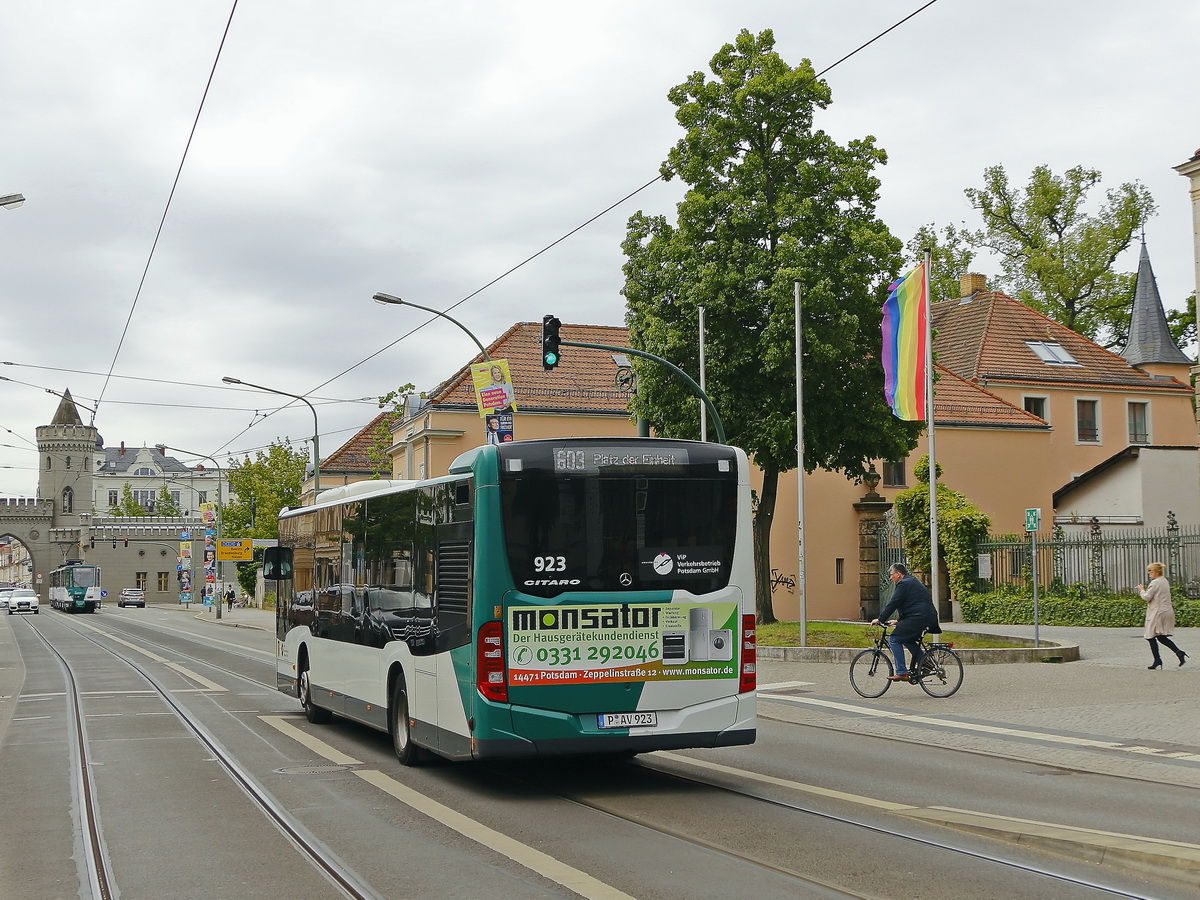 Heckansicht des Mercedes-Benz Citaro III der Verkehrsbetriebe Potsdam GmbH in Potsdam am Rathaus am 15. Mai 2019.