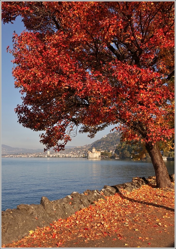 Herbst am Genfersee.
(21.10.2015)