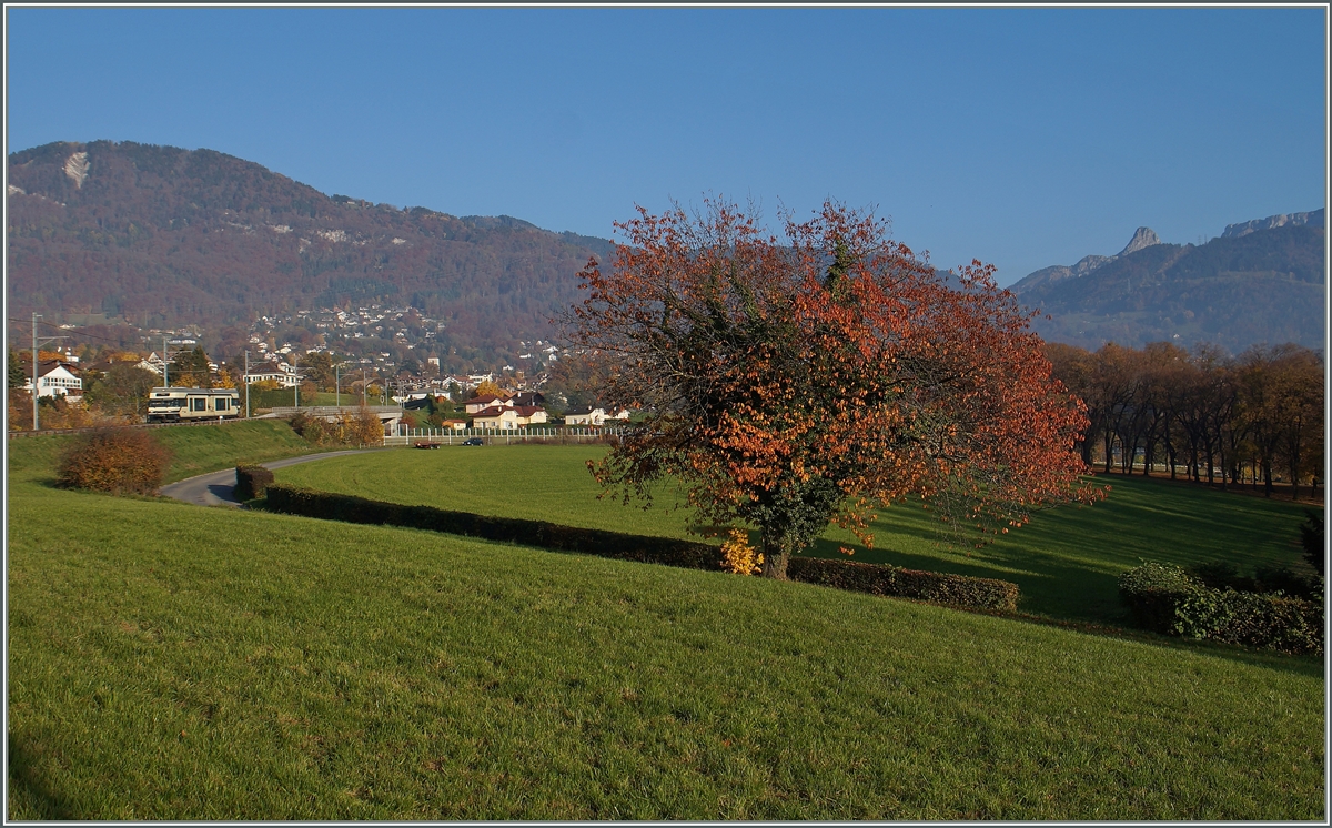 Herbst: Ein CEV GTW  /6 unterwegs beim Château d'Hauteville Richtung Vevey.
2. Nov. 2015