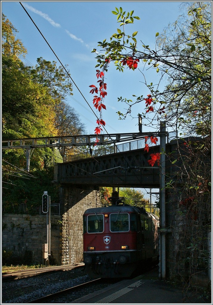 Herbstfotografie ist fr mich immer mehr Gegenlichtfotogarfie, wobei Vorstellung und Resulat noch etwas voneinander abweichen...
Re 4/4 II in Vevey am 28. Okt. 2013