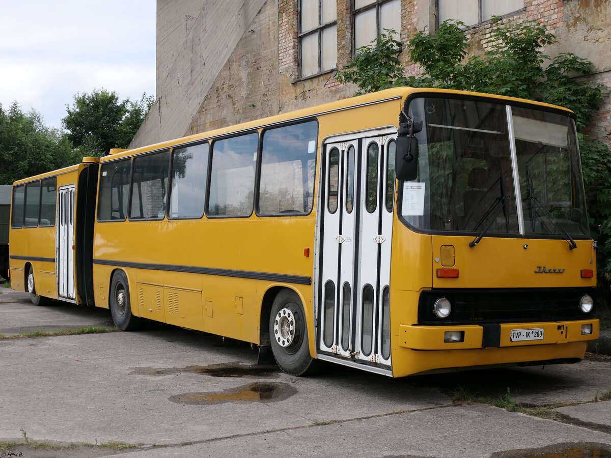 Ikarus 280 vom Technikmuseum Pütnitz (ex Schönebecker Buslinien) in Pütnitz.