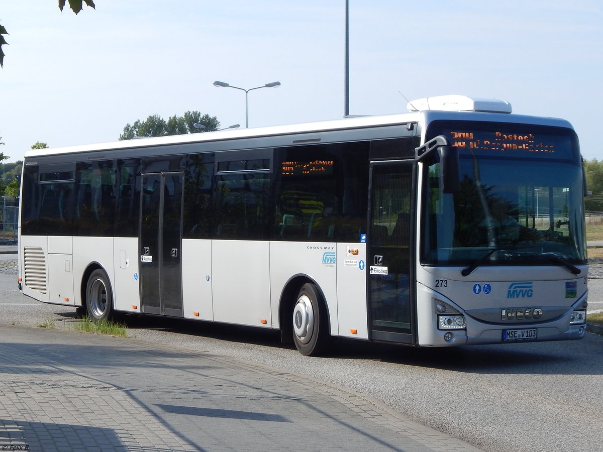 Iveco Crossway der MVVG in Rostock. 