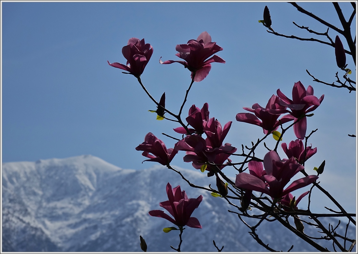 Jahreszeitenwechsel
(18.03.2014)