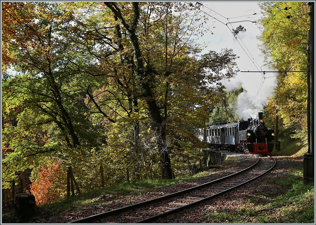  LA DER 2020 du Blonay-Chamby  / Saison Abschluss der Blonay-Chamby Bahn: Mit einem verstärkten Fahrplan und viel Dampf wird vor dem  Winterschlaf  (bzw. Arbeit im Dépôt Chaulin) nochmals viel Betrieb gemacht. Die erfreulich vielen Züge boten auch die Gelegenheit, neben den  klassischen  Fotostellen auch andere Fotostellen aufzusuchen und die Blonay-Chamby Bahn aus einem neuen Blickfeld aufzunehmen, wobei mir diese Bild voller Nieten ganz besonders gefällt. Die G 2x 2/2 105 ist mit ihrem Dampfzug nach Chaulin kurz nach Chantemerle im Wald oberhalb von Blonay im Gegenlicht unterwegs und das Sonnenlicht steift jede einzelne Niete auf der Talseite der Lok.

25. Okt. 2020