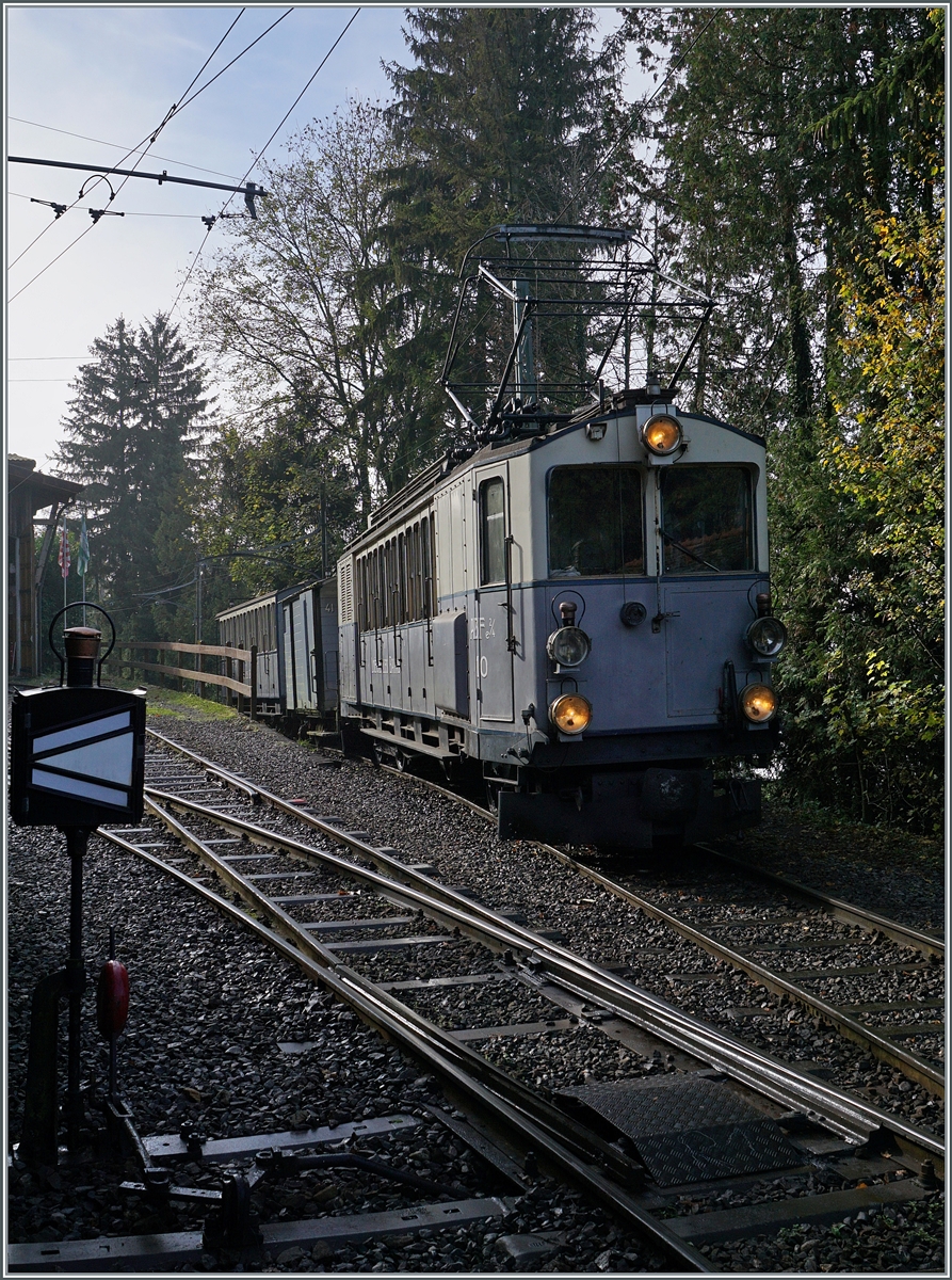 La DER de la Saison 2024! Bei Gegenlicht verlässt der LLB ABFe 2/4 10 der Blonay-Chamby Bahn mit ihrem Zug nach in Blonay den Bahnhof von Chaulin.

27. Okt. 2024