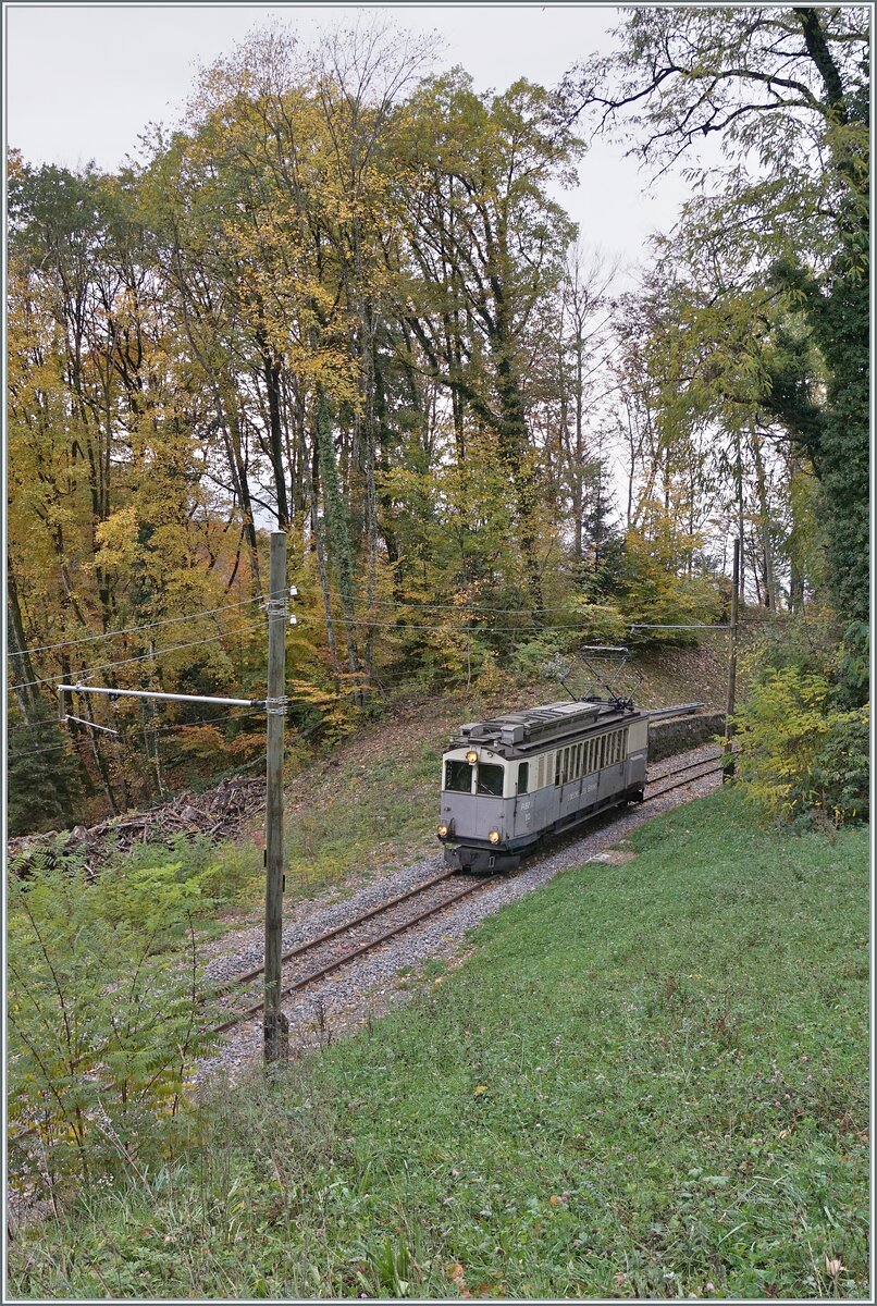 La DER de la Saison / Das Saison Ende der Blonay Chamby Bahn 2025 - Seit einigen Jahren zeigt die Blonay Chamby Bahn zum Saison Ende mit einem verdichteten Fahrplan noch einmal ihre herrlichen Fahrzeuge im Einsatz: Der Leuk Leukerbad Bahn (LLB) Triebwagen mit der Anschrift ABFe 2/4 N° 10 der Blonay Chamby Bahn ist solo als Zug 1057 auf der Fahrt von Blonay nach Chaulin und wird in Kürze den Baye de Clarens Viadukt erreichen. 
Dieser Tirebwagen wird von der Blonay-Chamby Bahn nur eingesetzt, wenn es nicht regnet.

26. Oktober 2025
