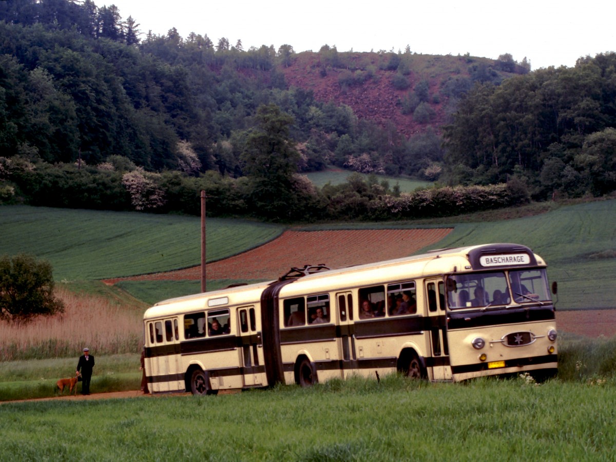 Luxemburg, Lamadelaine, Henschel HS 160 USL-G Gelenkbus. Dieser Bus bringt auf schmalen Wegen die Fahrgste der Museumsbahn Fond-de-Gras zum ehemaligen Terminus  Fuussbsch . Scan eines Dias aus dem Jahr 1976. 