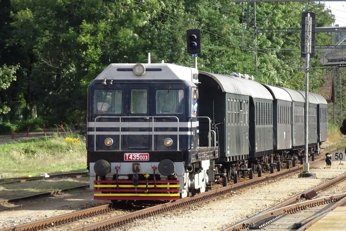 Maly Hektor (Kleiner Hektor) T435 003 rangiert mit ÖGEG Zweiächser in Benesov u Prahy während STEAM53.