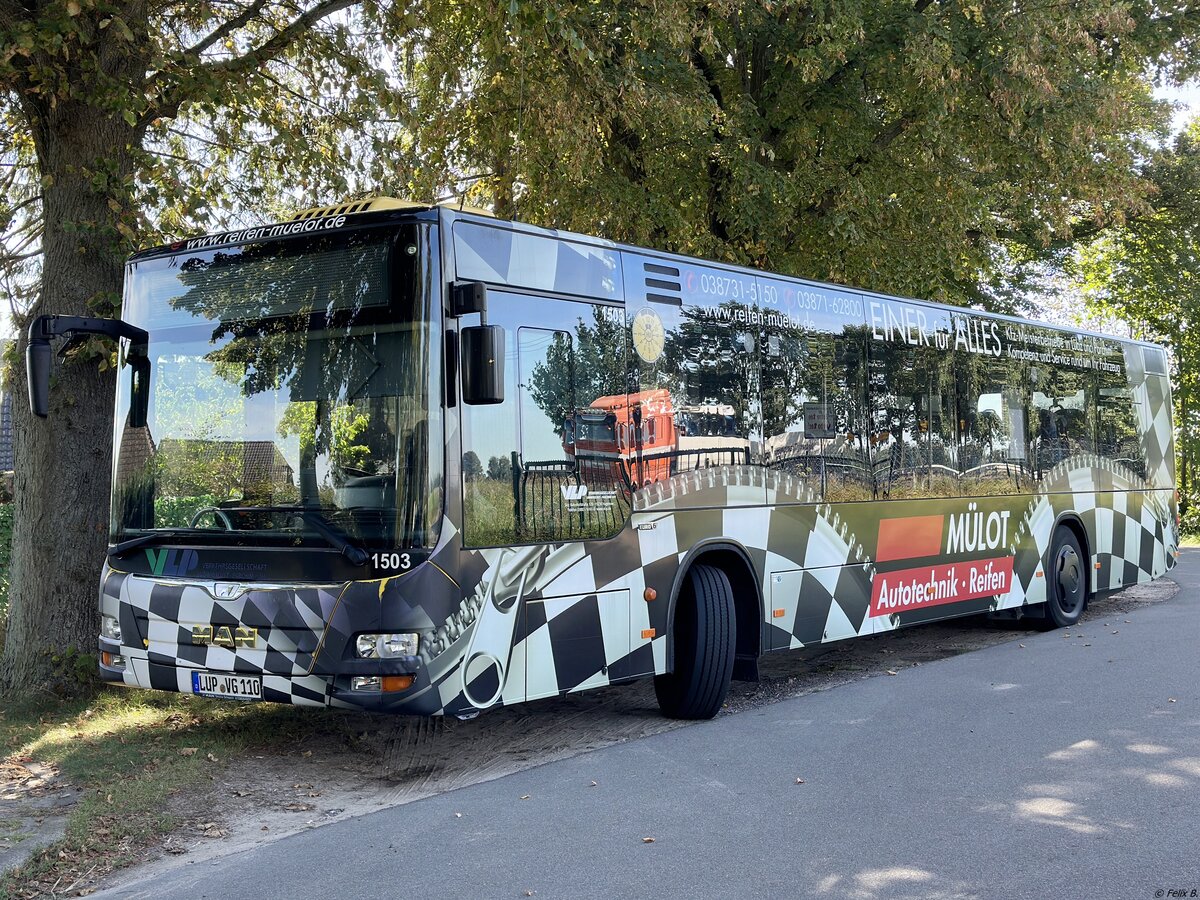 MAN Lion's City der Verkehrsgesellschaft Ludwigslust-Parchim mbH in Plau am See.