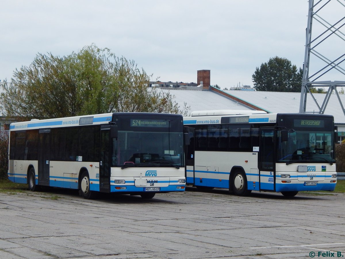 MAN Niederflurbus 2. Generation und MAN SÜ 283 der MVVG in Neubrandenburg.