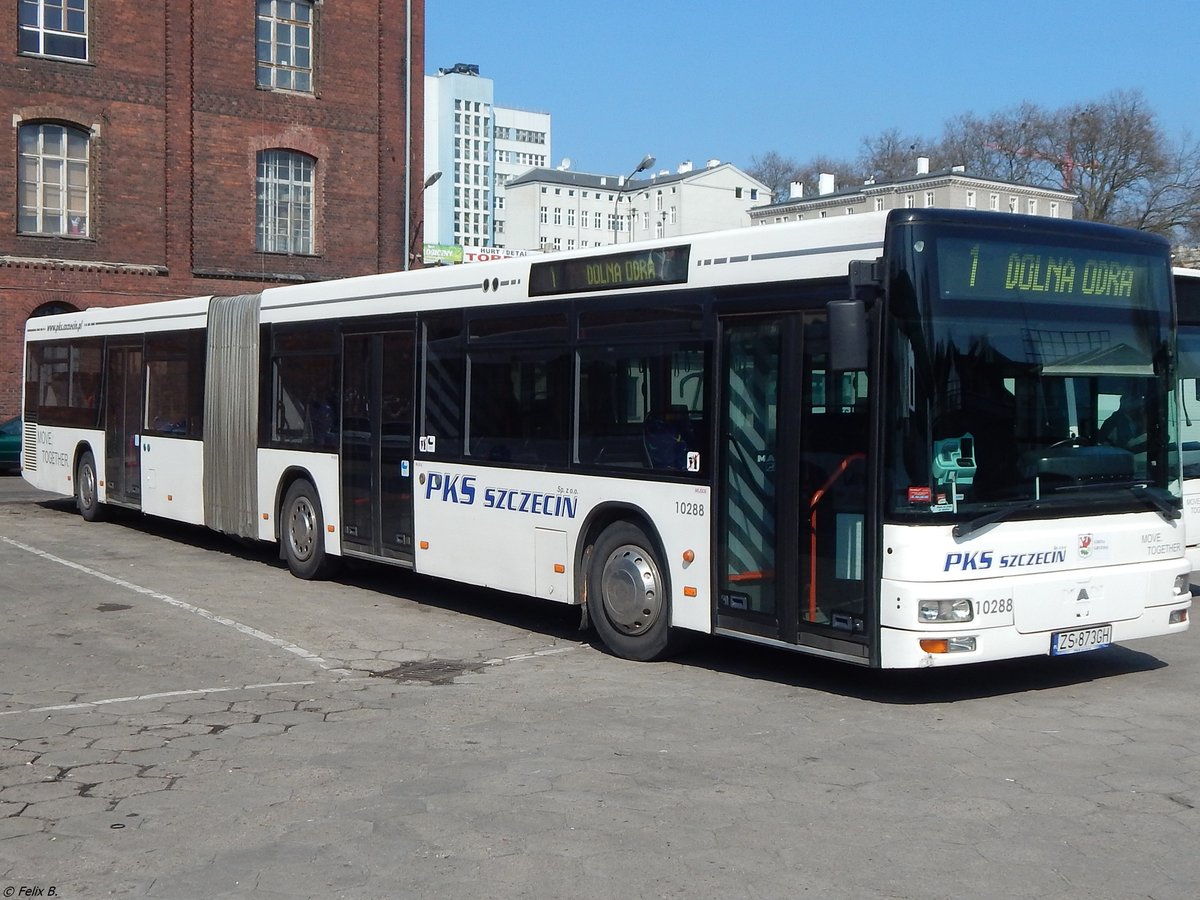 MAN Niederflurbus 2. Generation von PKS Szczecin aus Polen in Stettin.