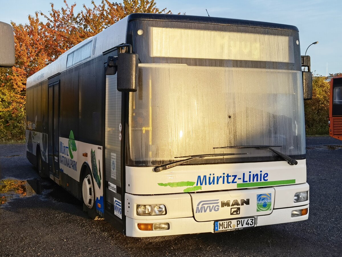MAN Niederflurbus 2. Generation/Göppel der MVVG in Röbel.