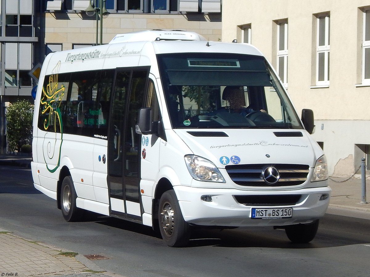 Mercedes Sprinter von Becker-Strelitz Reisen aus Deutschland in Neustrelitz.