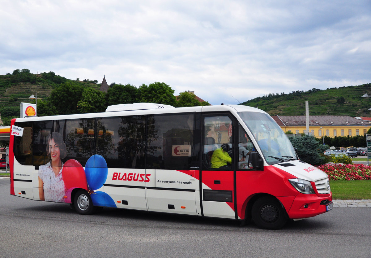 Midibus Mercedes Sprinter Bluetec von Blaguss Ungarn in Krems unterwegs.