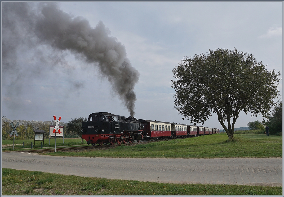 Nach dem Halt an der Steilkste dampft die Molli 99 2321-0 wieder weiter, um in ein paar Minuten Khlungsborn zu erreichen. 
28. Sept. 2017