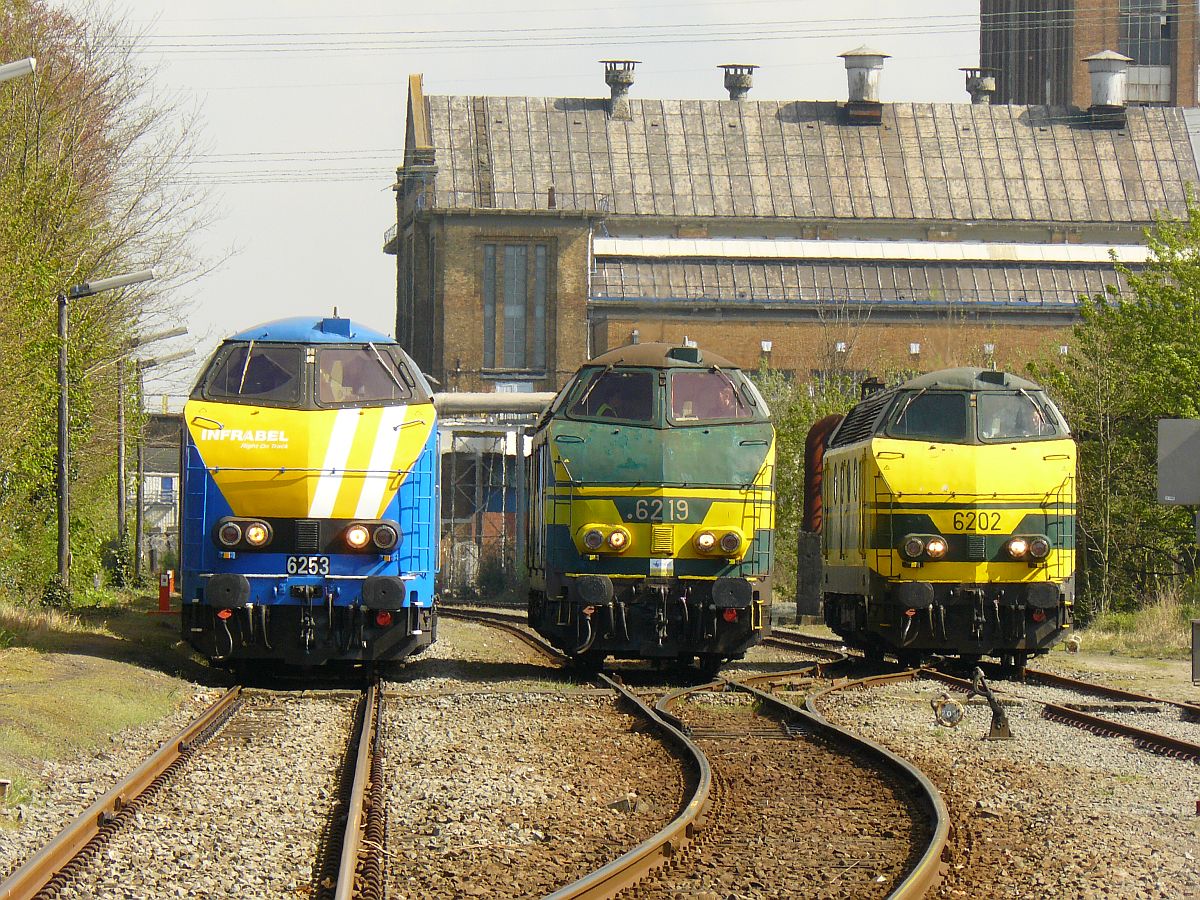 NMBS Diesellok 6202, 6219 und 6253 mit M2-Wagen. Sonderfahrt Museumsverein PFT/TSP. Langerbrugge 05-04-2014. 

NMBS diesellocomotieven 6202, 6219 en 6253 met M2-rijtuigen gefotografeerd tijdens rondrit van de TSP  Hulde aan de reeks 62 . Langerbrugge 05-04-2014.