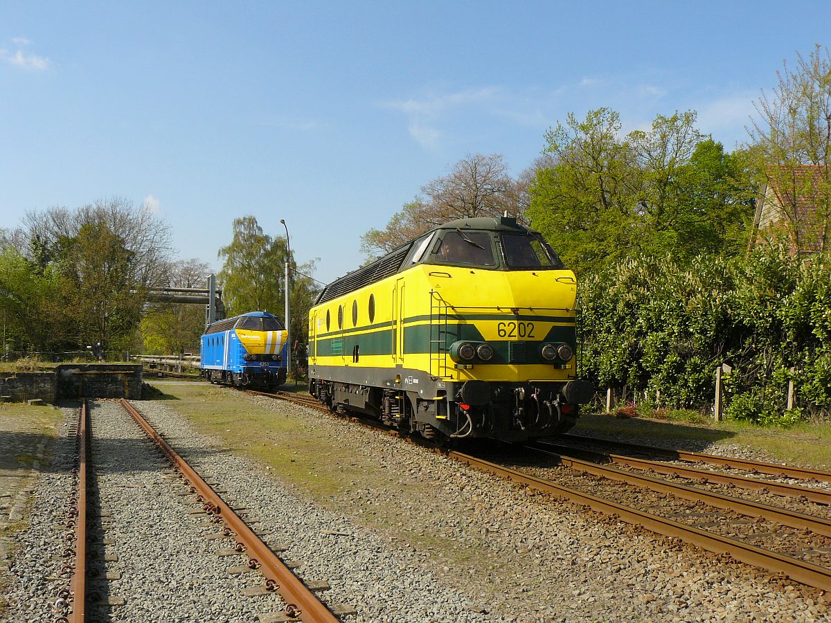 NMBS Diesellok 6202 und Infrabel Lok 6253. Sonderfahrt Museumsverein PFT/TSP  Hulde aan de reeks 62 . Bahnübergang Burggravenlaan, Langerbrugge Belgien 05-04-2014.

NMBS diesellocomotieven 6202 en Infrabel 6253 gefotografeerd tijdens rondrit van de TSP  Hulde aan de reeks 62 . Bij de overweg Burggravenlaan, Langerbrugge België 05-04-2014.