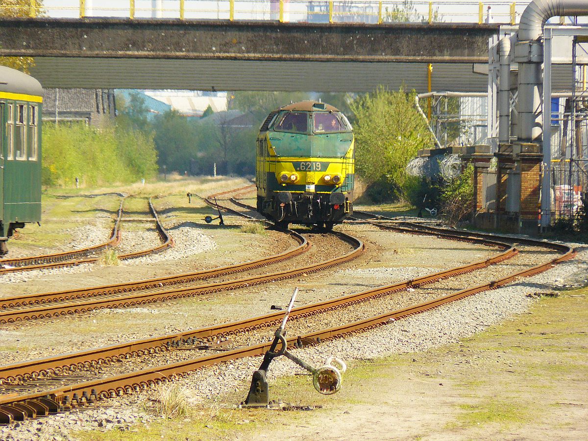 NMBS Diesellok 6219. Sonderfahrt Museumsverein PFT/TSP. Langerbrugge 05-04-2014. 

NMBS diesellocomotief 6219 aan het rangeren gefotografeerd tijdens rondrit van de TSP  hulde aan de reeks 62 . Langerbrugge Belgi 05-04-2014.