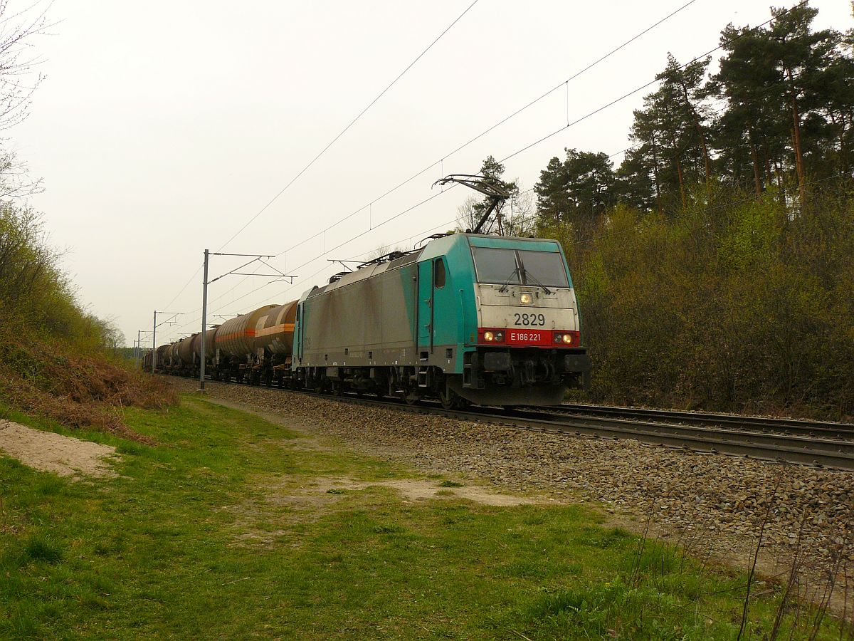 NMBS Lok 2829 mit Gterzugbei Gemmenich, Belgien 04-04-2014.

NMBS locomotief 2829 met een ketelwagentrein. Spoorlijn Montzen-Aachen Rue d'Aix bij Gemmenich, Belgi 04-04-2014.