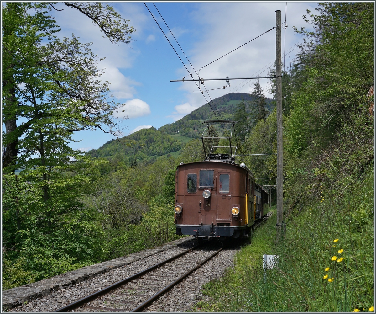 Nostalgie & Vapeur 2021  /  Nostalgie & Dampf 2021  - Da die Züge von Blonay nach Chaulin jeweils bis Chamby fahren und somit den kurzen Streckabschnitt Chaulin Abzweigung  - Chamby zweimal befahren ergeben sich pro Zug auf zwei Fotomöglichkeiten welche ich hier mit der BOB HGe 3/3 29 umsetzte: Auf dem ersten Bild ist die BOB HGe 3/3 kurz vor der Ankunft in Chamby zu sehen. 

22. Mai 2021