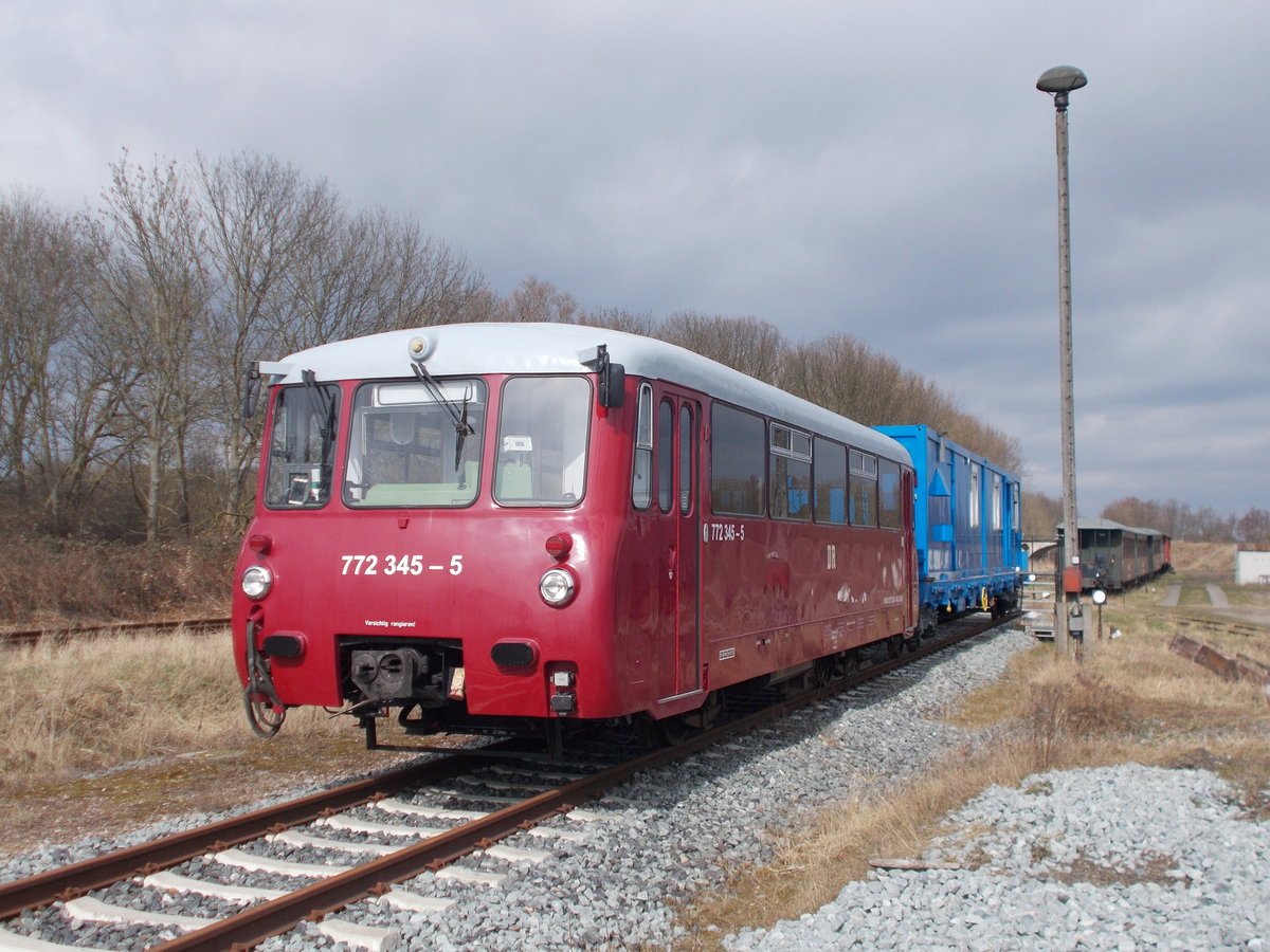 Ohne Beiwagen wird die Ferkeltaxe 772 345-5 wieder zwischen Bergen/R�gen und Lauterbach Mole knattern.Aufnahme vom 24.M�rz 2016 in Putbus.