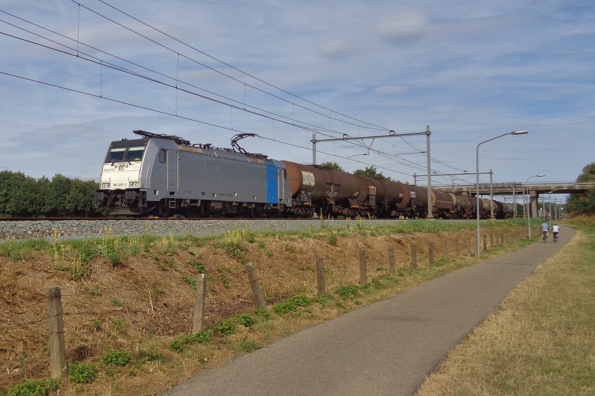 RailPool 186 455 zieht der Saxonia-Express bei Niftrik am 12 Augustus 2018.