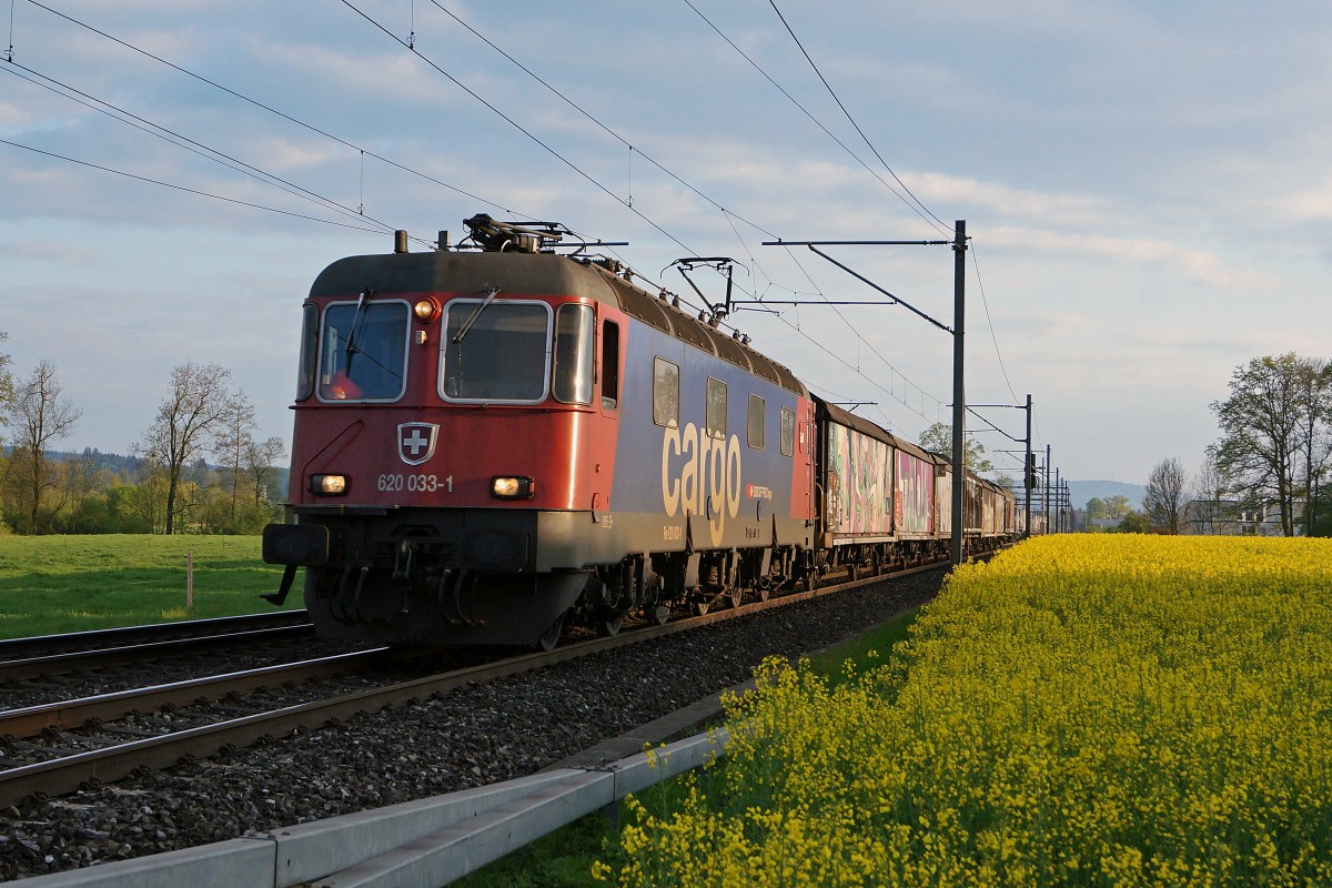 SBB: Güterzug mit Re 620 033-1  MURI AG  im letzten Abendlicht bei Roggwil am 28. April 2015.
Foto: Walter Ruetsch