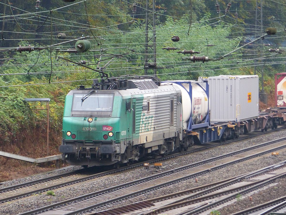 SNCF FRET Lok 437019 Abzweig Lotharstrasse, Forsthausweg, Duisburg, Deutschland 20-10-2016.

SNCF FRET loc 437019 Abzweig Lotharstrasse, Forsthausweg, Duisburg, Duitsland 20-10-2016.