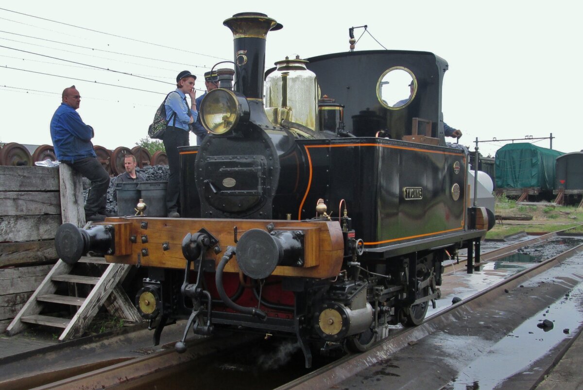 Taschenloklein YVONNE kommt aus Belgien und ist hier an verregneten 14 Mai 2015 Gast in Goes bei der SGB.