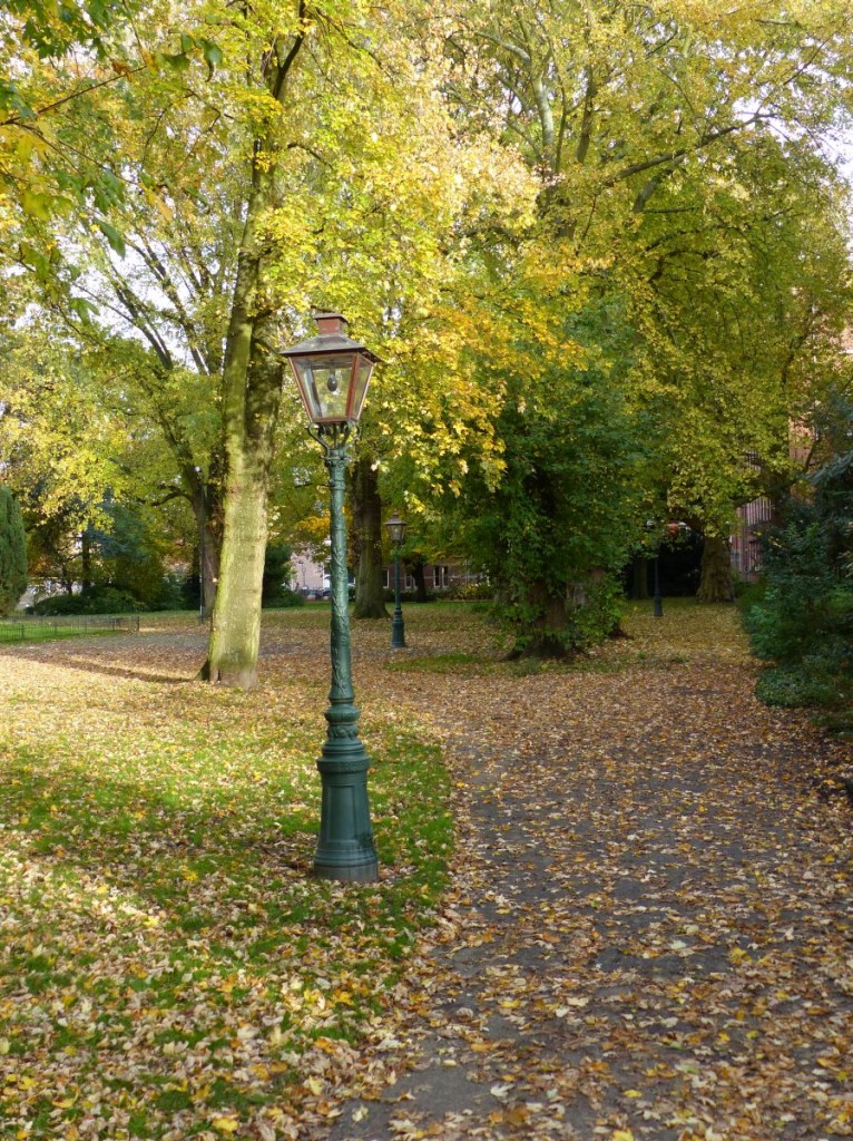 Van der Werfpark, Leiden 25-10-2015.