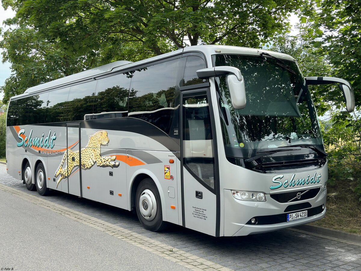 Volvo 9700 von Schmidt aus Deutschland in Malchow.