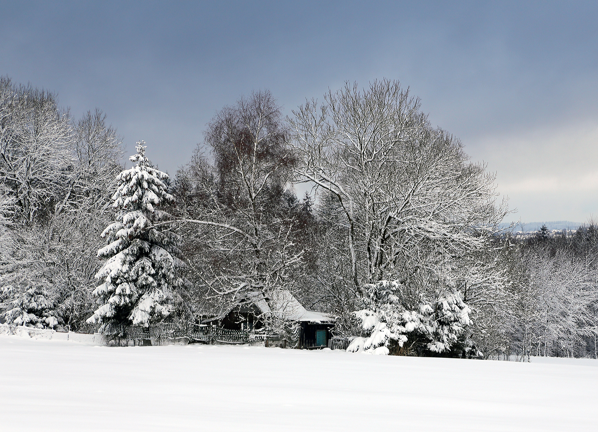 
Winter am Westerwald, hier am 30.01.2015 bei Lautzenbrücken.