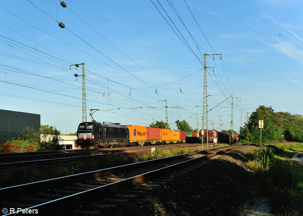 X4E 601 alias 193 601 mit einem Containerzug in Nürnberg Hohe Marta. 11.10.23