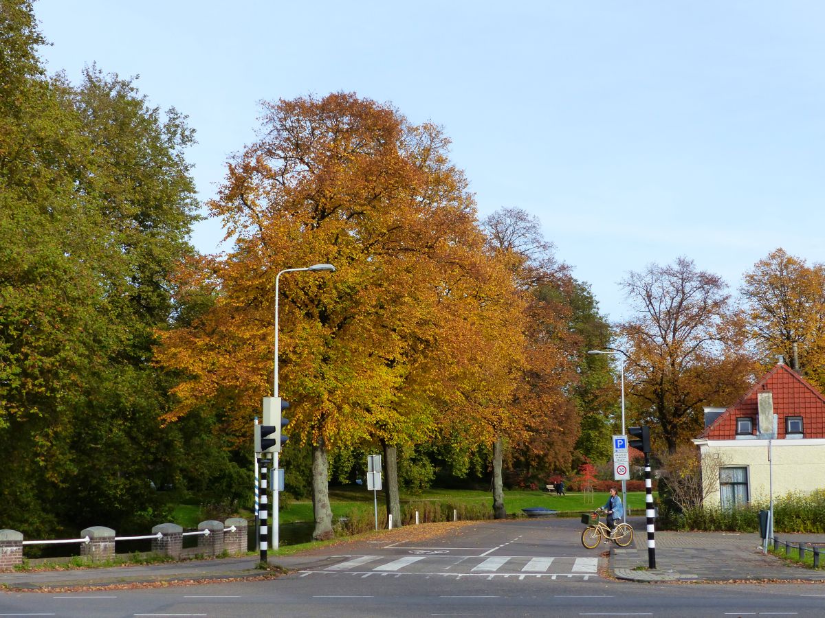 Zoeterwoudse singel Leiden 25-10-2015.