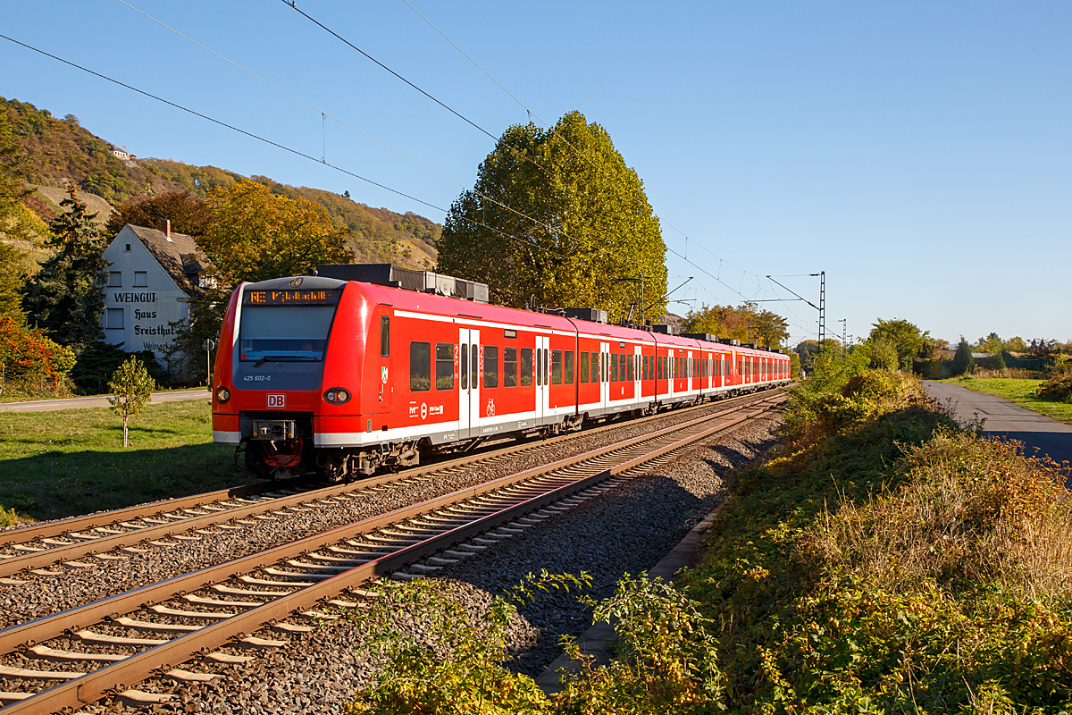 
Zwei gekuppelte 425er der DB Regio NRW fahren am 13.10.2018 als RE 8  Rhein-Erft-Express  (Koblenz - Köln - Mönchengladbach) durch Leutesdorf in Richtung Köln.