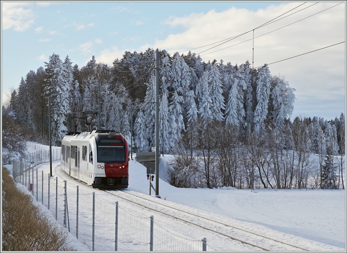 Zwischen Vaulruz Sud und La Verrerie ist der tpf SURF ABe 2/4 - B - Be 2/4 auf dem Weg von Bulle nach Palézieux und konnte vor dem Hintergrund der Schneebedeckten Tannen vom Autobahnparkplatz fotografiert werden. 

23. Dez. 2021