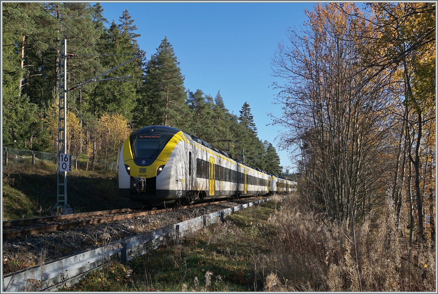 Auf dem Weg nach Titisee fahren zwei  Grisekatzen  (BR 440 - Coradia Continental 2) dem Schluchsee entlang, der hier jedoch durch den Wald nicht zu sehen ist. 

13. Nov. 2022