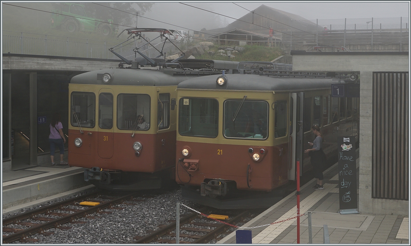 Bei Nebel mitten im Sommer kreuzen sich in Winteregg die beinden BLM Be 4/4 31 LISI und Be 4/4 21. 

23. Juli 2024