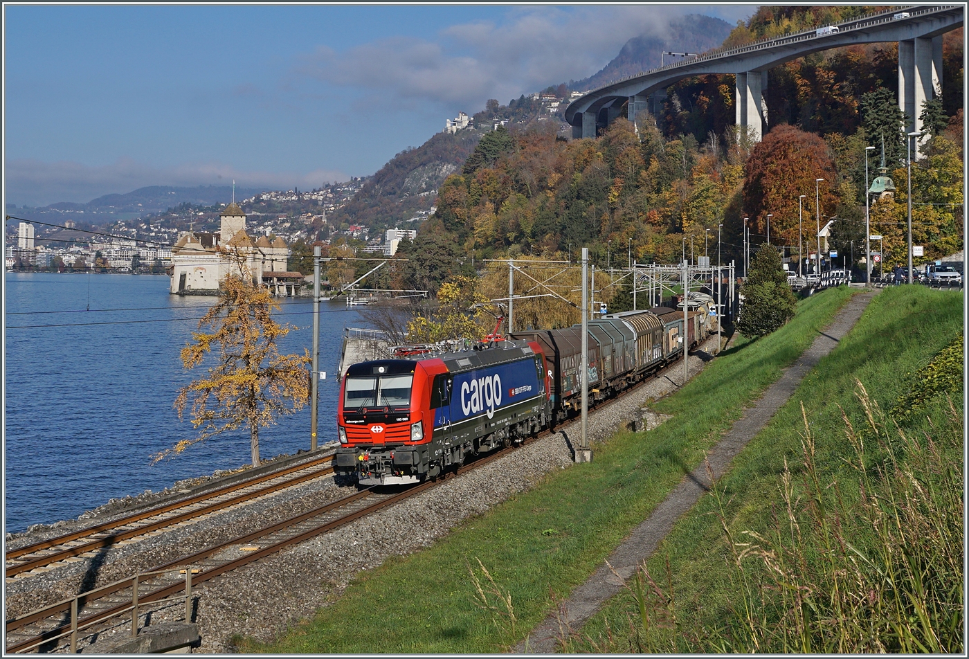 Die an SBB Cargo vermietet 193 060 ist mit einem Güterzug in Richtung Wallis kurz vor Villeneuve unterwegs. Im Hintergrund ist das Château de Chillon zu sehen.

14. November 2024