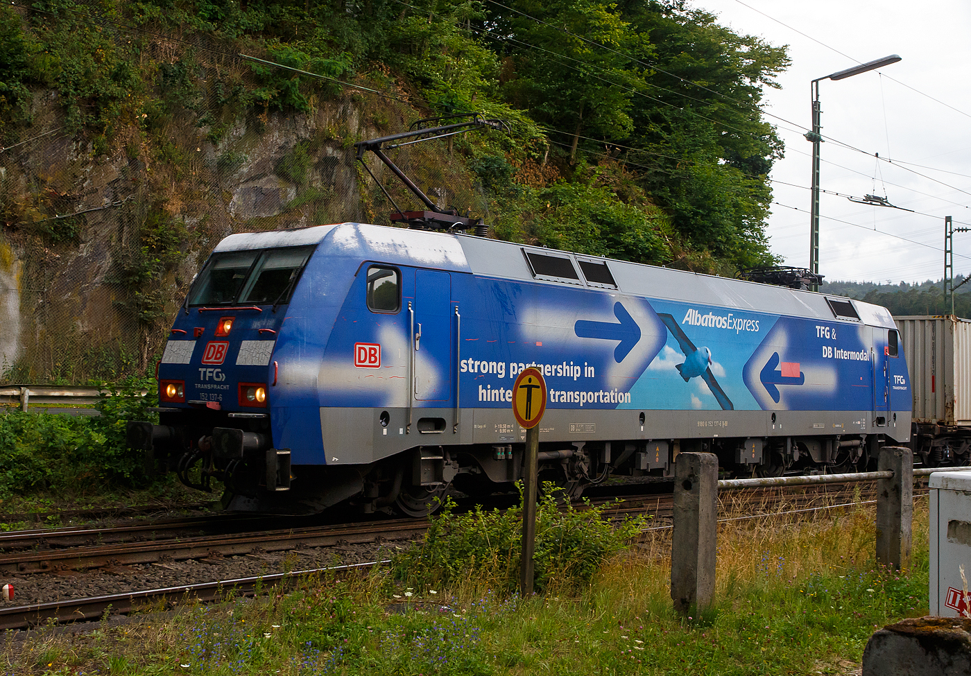 Die DB - TFG Transfracht  AlbatrosExpress  152 137-6 (91 80 6152 137-6 D-DB) der DB Cargo AG (mit Gansreklame TFG & DB Intermodal) fährt am 16 Juli 2025 mit einem KLV-Zug durch Scheuerfeld/Sieg) in Richtung Siegen. Für ein besseres Bild war ich leider zu langsam.

Die Siemens ES 64 F wurde 2000 von der Krauss-Maffei AG / Siemens in München-Allach unter der Fabriknummer 20264 gebaut. Neben der Zulassung für Deutschland, sind mit Sondervereinbarung auch Fahrten nach A, CH, DK und NL möglich.

