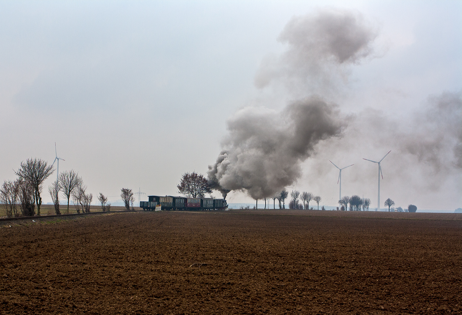 Die Jung Schmalspur Dampflok 20  Haspe  der Selfkantbahn bzw. Interessengemeinschaft Historischer Schienenverkehr e. V. (IHS) zieht ihren Personenzug am 31 M�rz 2013 bei Birgden in Richtung Gillrath. 

Fahrzeuggeschichte:
Die Dampf-Tenderlokomotive wurde 1956 von der Arnold Jung Lokomotivfabrik GmbH, Jungenthal bei Kirchen an der Sieg unter der Fabriknummer 12783 und an die 900 mm-Werksbahn der Kl�ckner-H�tte in Hagen-Haspe. Im Zuge der Stillegung der Hasper H�tte kaufte die IHS 1972 auch die 20 und 21 und lies diese in der Werkstatt der DVG (Duisburger Verkehrsgesellschaft AG) auf 1.000 mm umspuren. 1980 Taufe auf den Namen „Haspe“.