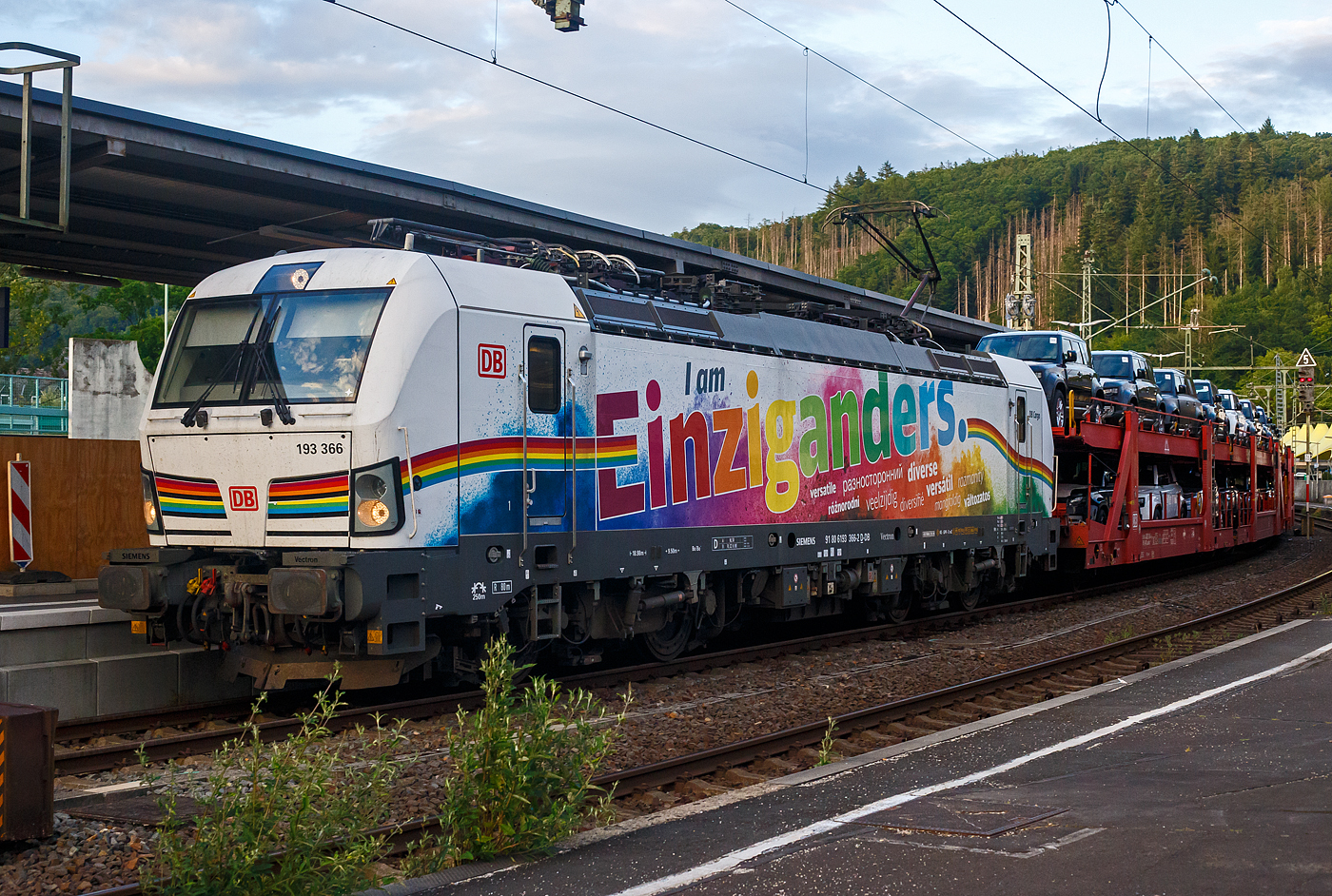Die wunderschöne SIEMENS Vectron MS 193 366-2 „I am Einziganders“ (91 80 6193 366-2 D-DB) der DB Cargo AG fährt am Abend des 24 Juni 2025, mit einem mit Gelände-SUV´s beladenen Autotransportzug (Wagen der Gattung Laaeffrs 560.1 der DB Cargo Logistics GmbH, ex DB Schenker ATG), durch den Bahnhof Betzdorf/Sieg in Richtung Köln.

Die SIEMENS Vectron MS - 6.4 MW wurde 2019 von Siemens in München-Allach unter der Fabriknummer 22613 gebaut. Sie ist in der Variante A10-3k ausgeführt und hat so die Zulassungen für Deutschland, Österreich, Polen, Tschechien, Slowakei, Ungarn, Niederlande, Belgien und Kroatien (D / A / PL / CZ / SK / H / NL / B / HR).

So besitzt die Variante MS A10-3K folgende Zugsicherungssysteme: ETCS BaseLine 3, sowie für Deutschland (PZB90 / LZB80 (CIR-ELKE I)), für Österreich (ETCS Level 1 mit Euroloop, ETCS Level 2, PZB90 / LZB80), für Polen (SHP), für Tschechien und die Slowakei (LS (Mirel)), für Ungarn (ETCS Level 1, EVM (Mirel)) für die Niederlande (ETCS Level 1, ETCS Level 2, ATB-EGvV), für Belgien (ETCS L1, ETCS L2, TBL1+) und für Kroatien (PZB90).
Die Werbung „Einziganders“ bezieht sich wohl auf die Zulassungen, denn diese sind etwas anders als bei anderen Vectron MS. 