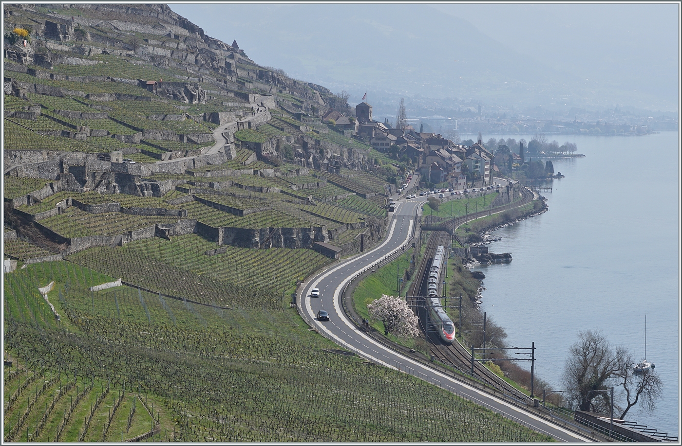 Ein SBB RABe 503  Pinocchio  ist als EC 40 auf dem Weg von Milano nach Genève und konnte im leicht auf grünenden Lavaux zwischen St-Saphorin und Rivaz fotografiert werden. 

30. März 2005